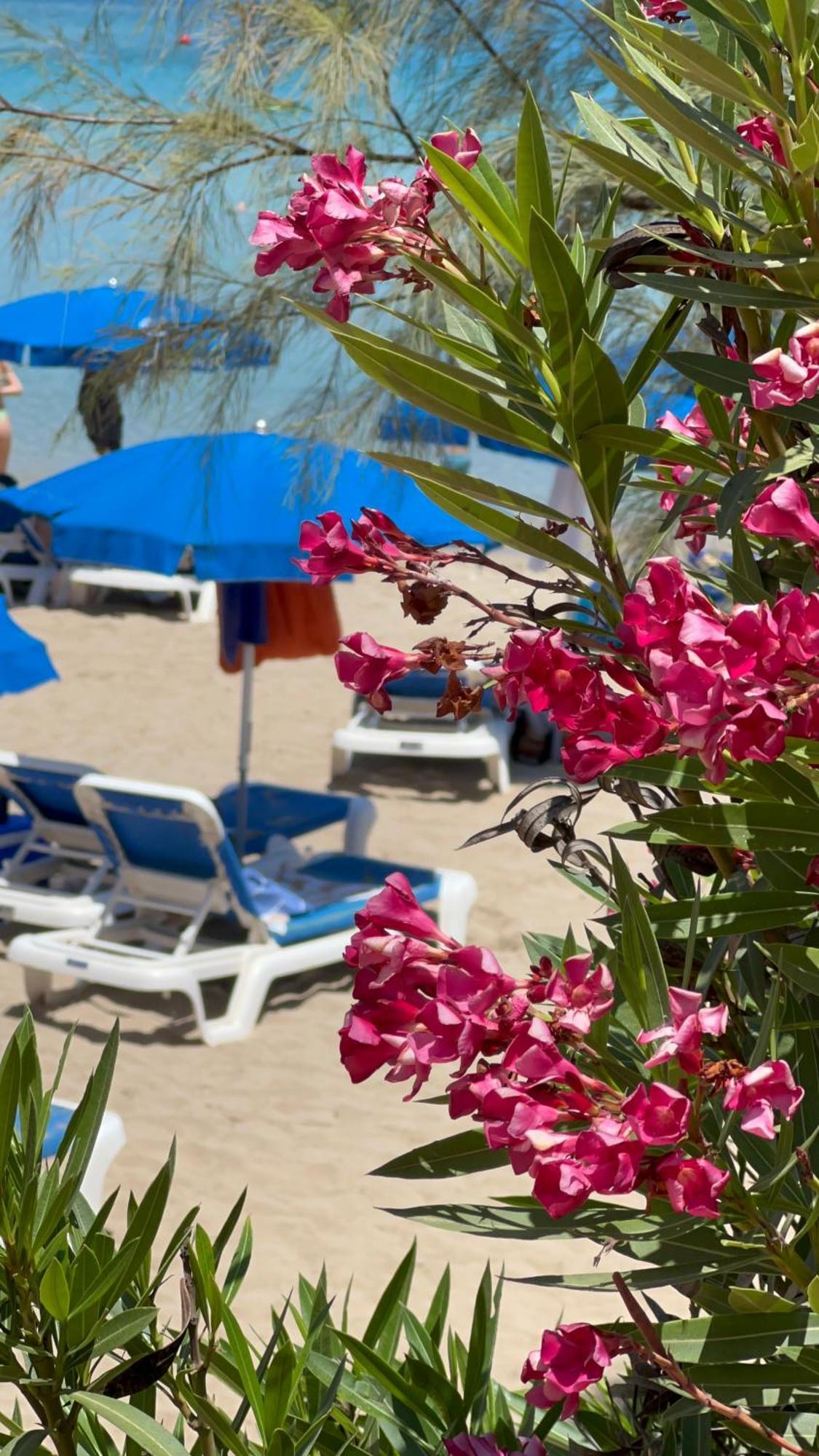 Adelais Bay Hotel Протарас Екстериор снимка